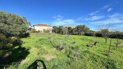 Maison - 204 m² - 5 pièces