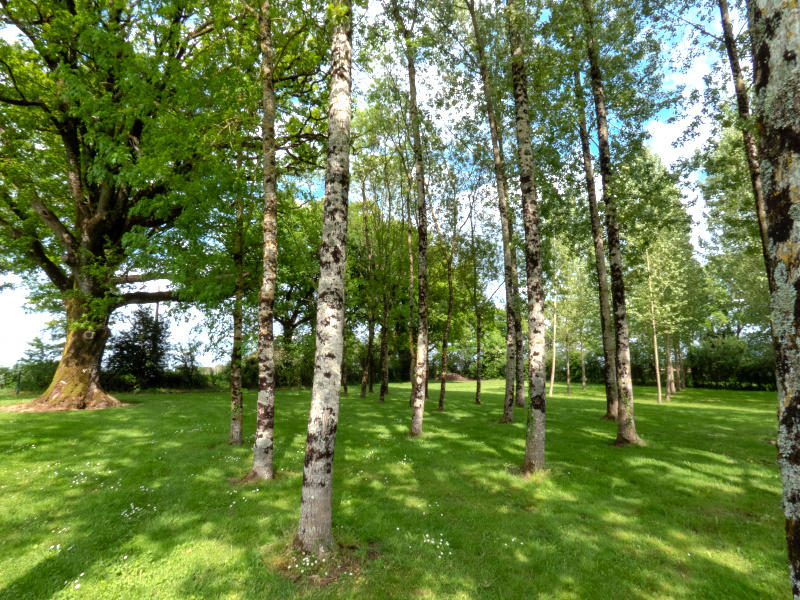 Terrain de loisirs - 13 512 m²