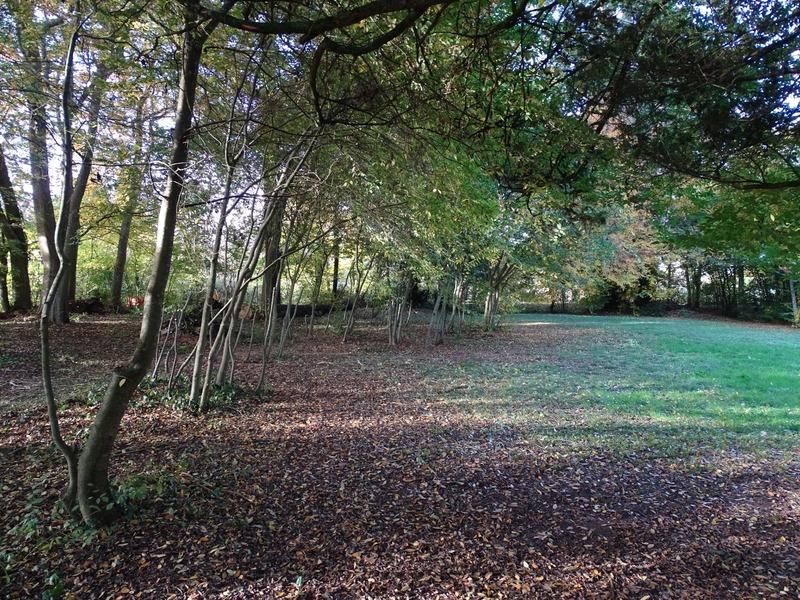 Terrain constructible - 8 124 m²