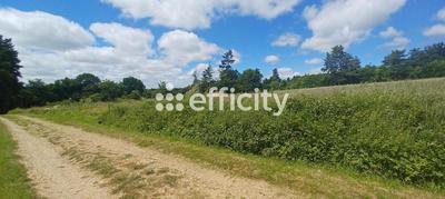 Terrain - 10 021 m²