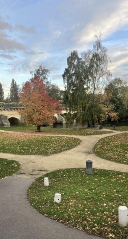 Studio - 24 m² - 1 pièce