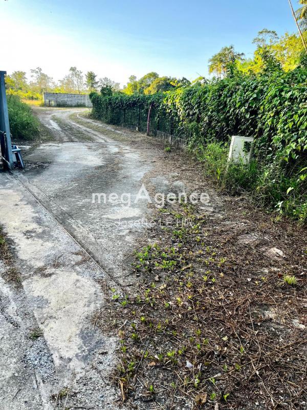 Terrain constructible - 4 000 m²