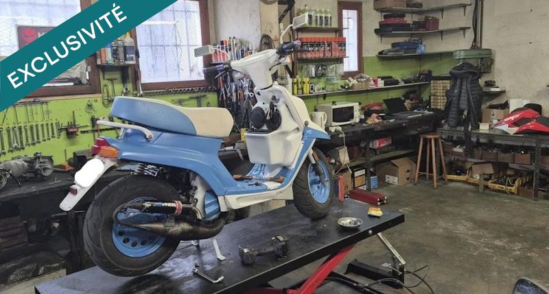 Local commercial - 433 m² - 7 pièces