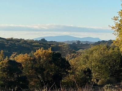 Terrain agricole - 7 770 m²