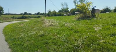 Terrain constructible - 4 000 m²