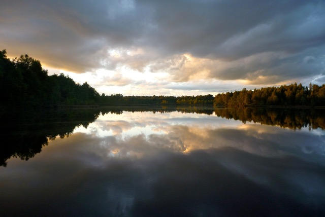 Étang - 142 558 m²