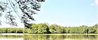 Propriété - 150 000 m² - 8 pièces