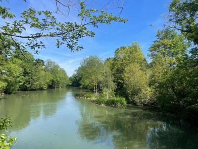 Appartement - 125 m² - 5 pièces