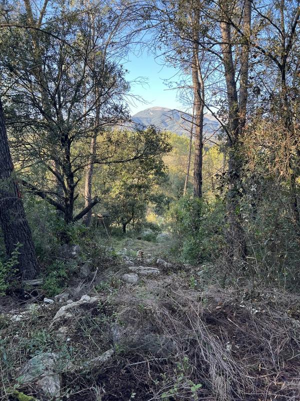 Terrain inconstructible - 1 000 m²