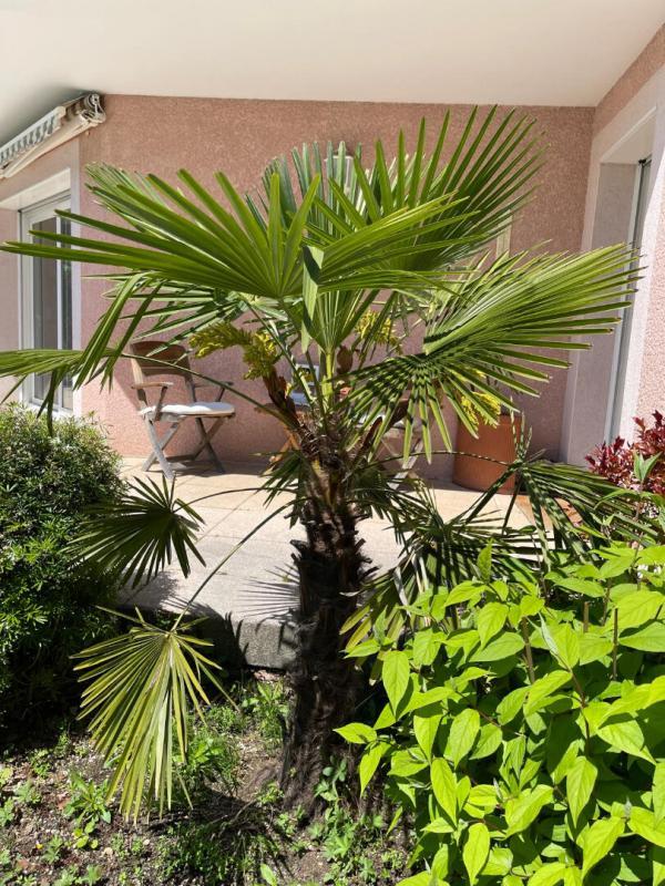 Maison - 320 m² - 7 pièces