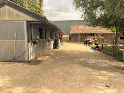 Maison - 58 m² - 3 pièces