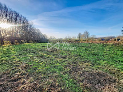 Terrain - 11 965 m²