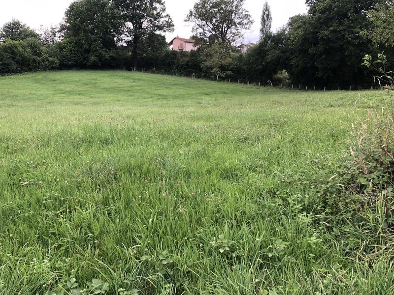 Terrain constructible - 4 590 m²
