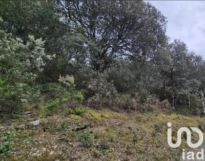 Terrain - 12 665 m²