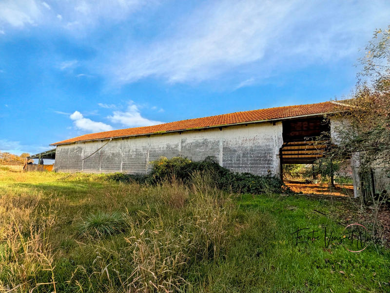 Maison - 162 m² - 4 pièces