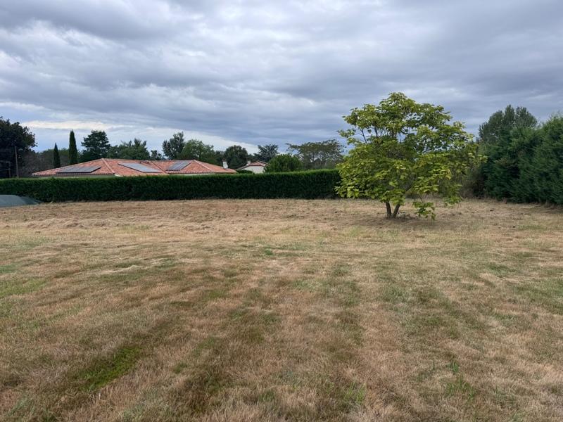 Terrain constructible - 1 035 m²