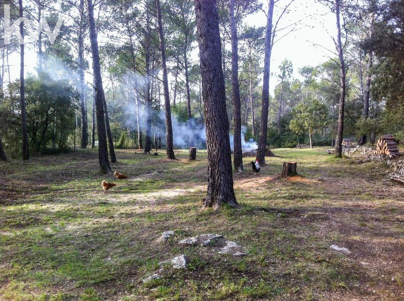 Cabanon - 47 m² - 3 pièces