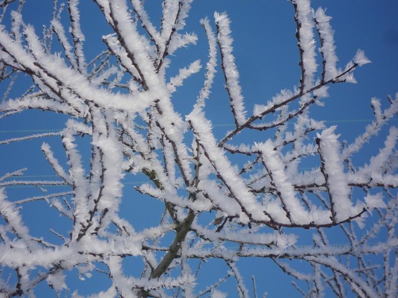 L'Obole de Caquisse - Installation sonore