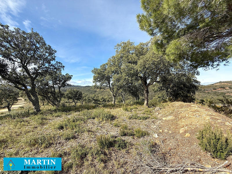 Terrain agricole - 32 300 m²