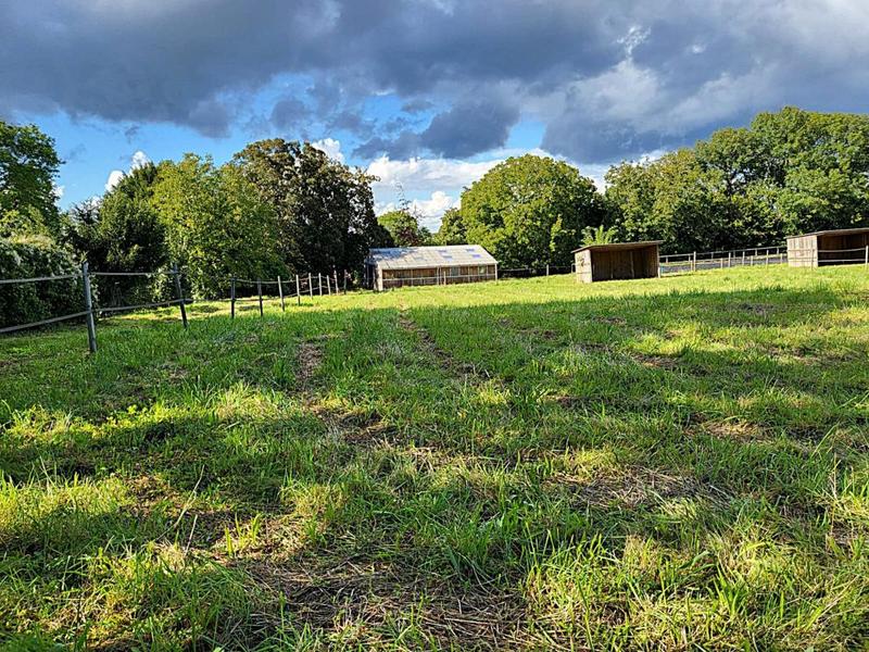 Terrain - 12 784 m²