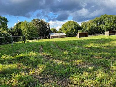 Terrain - 12 784 m²