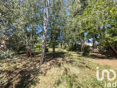 Terrain - 740 m²