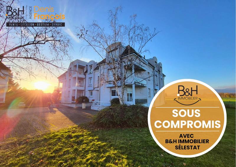 Appartement - 43 m² - 2 pièces