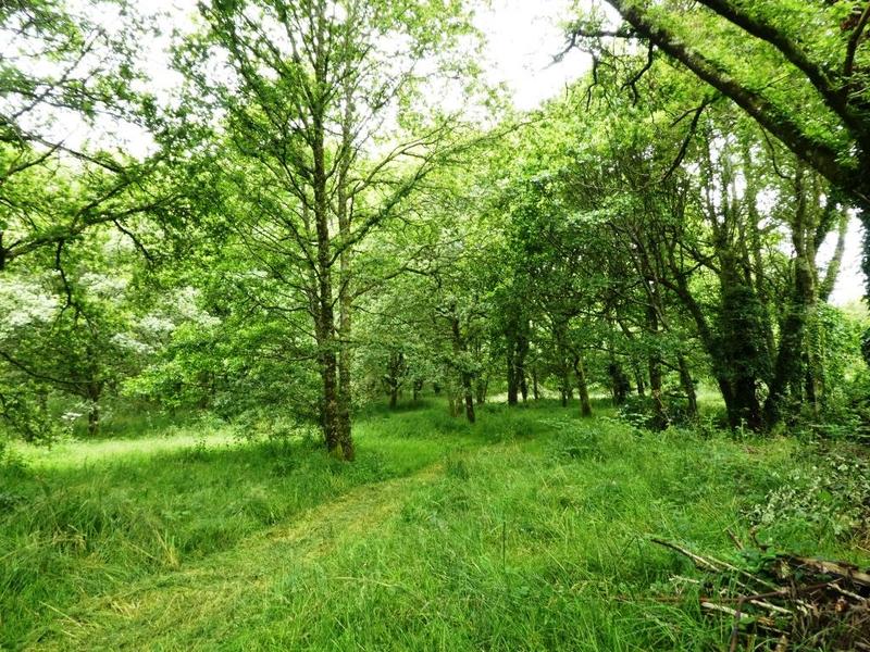 Maison en pierre - 90 m² - 4 pièces