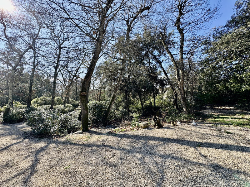 Maison - 265 m² - 7 pièces