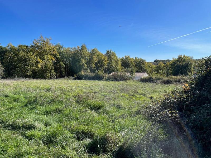 Terrain constructible - 3 039 m²
