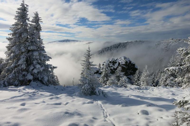 Club Vosgien : Randonnée raquettes des Trois Fours au Hohneck