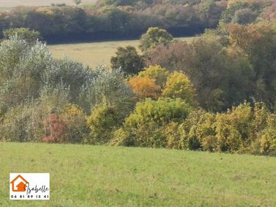 Maison - 235 m² - 8 pièces