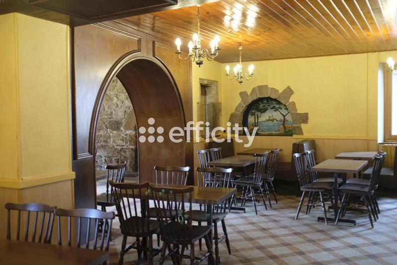 Maison - 316 m² - 10 pièces