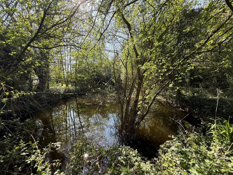 Maison - 147 m² - 5 pièces