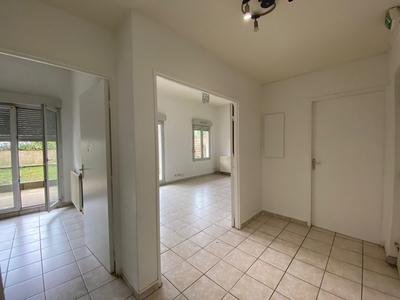 Appartement - 55 m² - 2 pièces