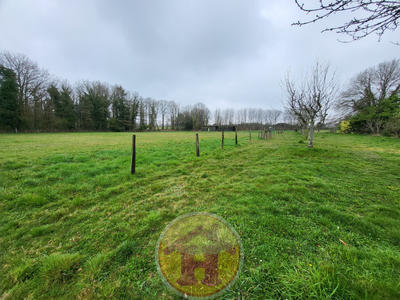 Maison - 133 m² - 6 pièces