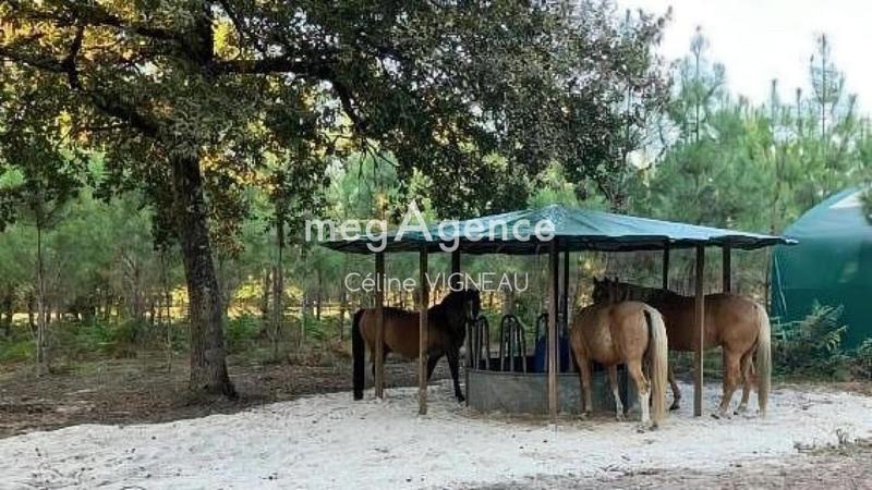 Maison de campagne - 117 m² - 3 pièces