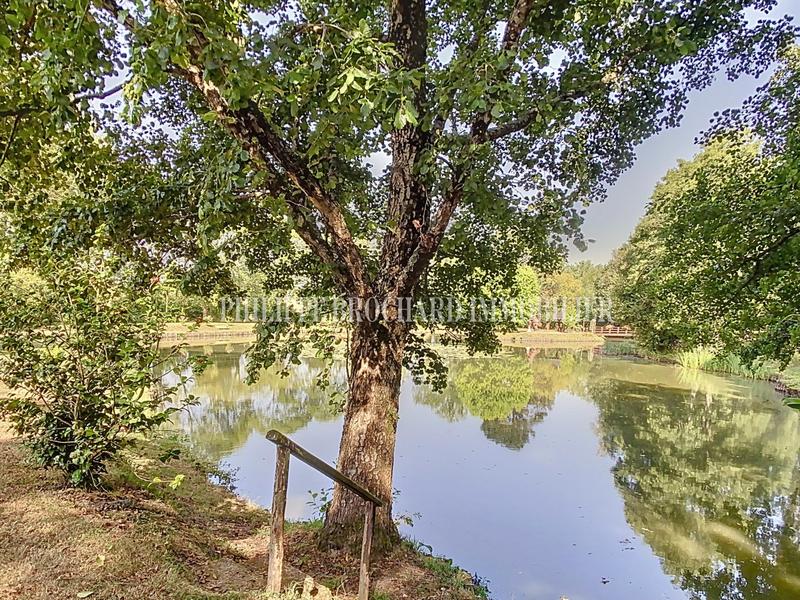 Terrain de loisirs - 9 940 m²