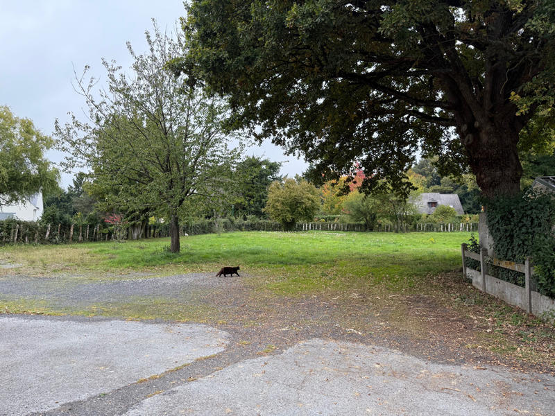 Immeuble - 347 m² - 9 pièces