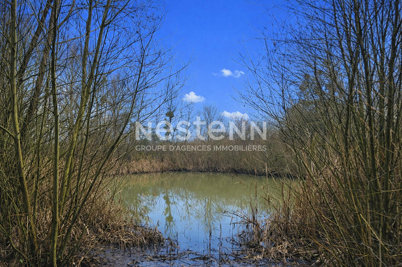 Maison - 273 m² - 10 pièces