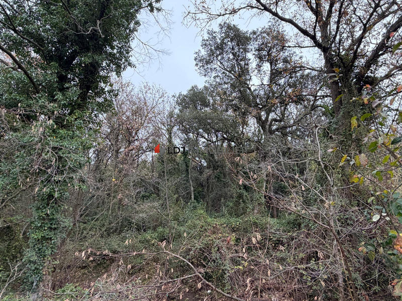 Terrain agricole - 17 246 m²