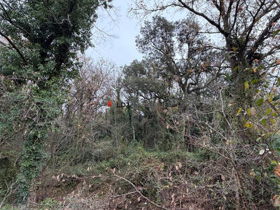 Terrain agricole - 17 246 m²