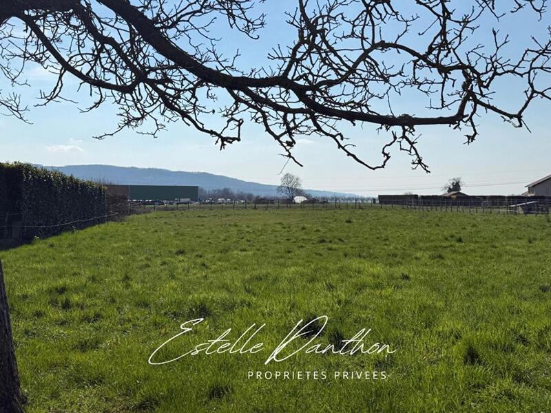 Terrain constructible - 1 617 m²