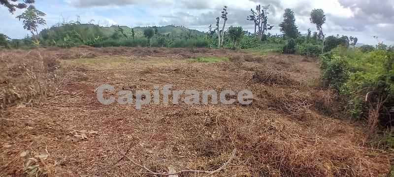 Terrain agricole - 167 518 m²