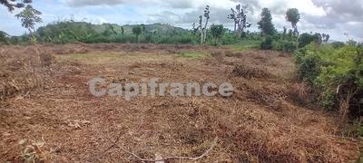 Terrain agricole - 167 518 m²