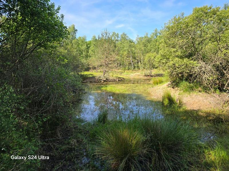 Terrain - 231 782 m²