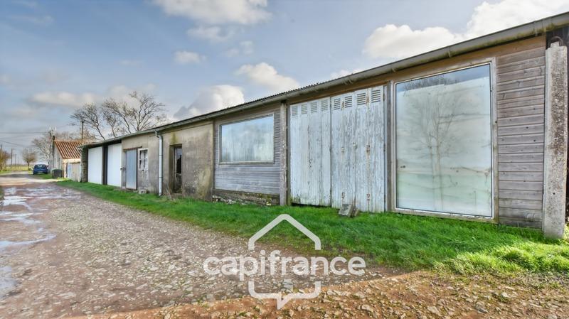 Hangar - 592 m² - 5 pièces