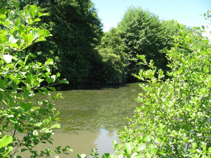 Maison ancienne - 163 m² - 5 pièces