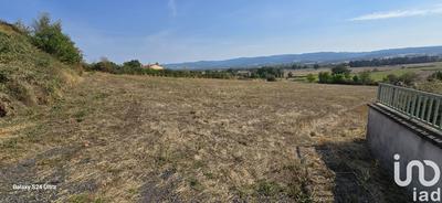 Terrain - 4 317 m²