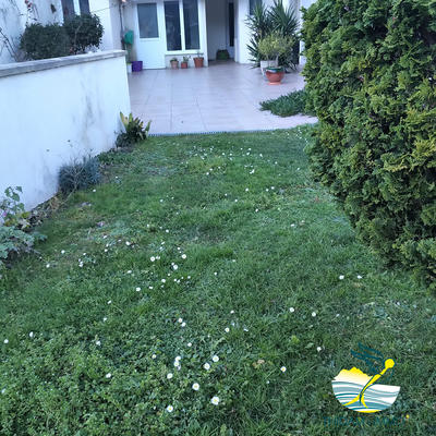 Maison traditionnelle - 232 m² - 10 pièces